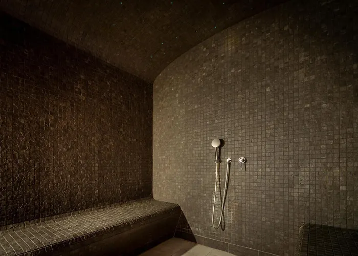 Urban Hotel & Spa Aix-Les-Bains - BW Signature Collection